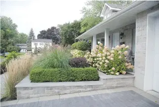  ?? PHOTOS (3): COURTESY OF GROUPE PARAMOUNT, GAZETTE FILES ?? Ornamental grasses like the ones in these two photos, and shrubs like the hydrangeas shown above, should be cut back before winter although some grassses, once they’re self-supporting, can be left standing in winter as a focal point against the snow.