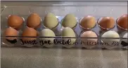  ?? PHOTO BY ALISON SCOTT ?? Katie Scanlan says the eggs from her backyard hens are higher in vitamin D than store-bought eggs.