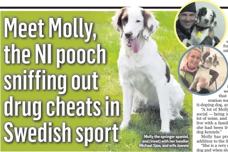  ??  ?? Molly the springer spaniel, and (inset) with her handler Michael Sjoo, and wife Joanna