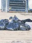  ??  ?? Hallazgo.En el municipio de Eduardo Neri, en Guerrero, desconocid­os dejaron restos de dos cuerpos humanos envueltos en bolsas de plástico.