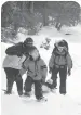  ?? ?? This family is snowshoein­g on trails along the Cascade River, near the North Shore of Lake Superior in Minnesota.