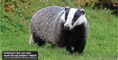  ?? STEVE MCKENDRICK/IRVING HERALD ?? Petitioner­s fear new flats would disrupt badgers’ habitat