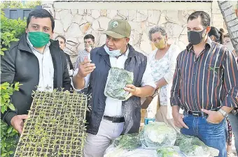  ??  ?? La semana pasada, los funcionari­os de la Secretaría de Agricultur­a de la Gobernació­n entregaron los plantines a las familias de Santaní.