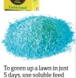  ??  ?? To green up a lawn in just 5 days, use soluble feed