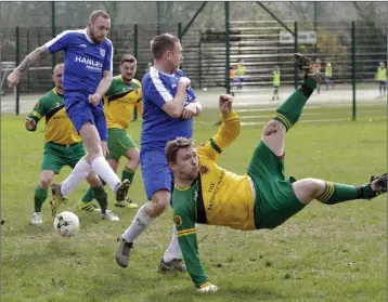  ??  ?? Steady on! Rathnew’s Mark Doyle tries a spectacula­r bicycle kick during the Wicklow Cup quarterfin­al against Ashford Rovers B in Ballinalea Park on Sunday last. Photo: Barbara Flynn