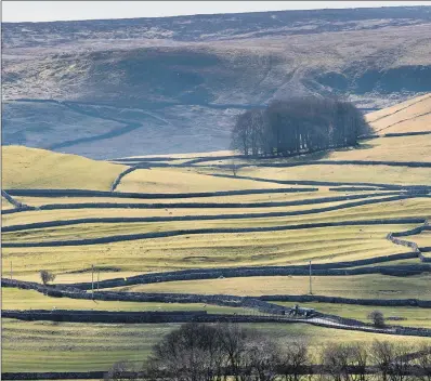  ?? PICTURES: JAMES HARDISTY. ?? UNWELCOME CHANGE: Upland farming in the Yorkshire Dales could be thrown into doubt by changes in subsidies.