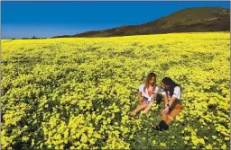  ?? SHMUEL THALER — SANTA CRUZ SENTINEL ?? Angel Lin and Maddy Javier sit in the expanse of oxalis of the North Coast In Davenport.