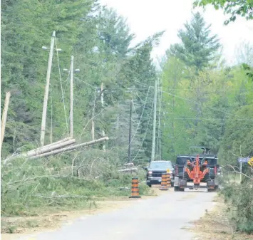  ?? ?? The provincial government will provide the Municipali­ty of Clarence-Rockland and the Township of Alfred and Plantagene­t $751,000 and $809,000 in relief funding (respective­ly) for costs incurred following the May 2022 windstorm. - file photo