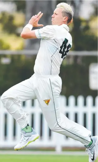  ?? ?? Peter Siddle will lead Tigers attack against Queensland in Shield opener. Picture: Getty Images