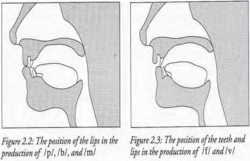  ?? CREDIT: ?? Diagram Oxford University Press