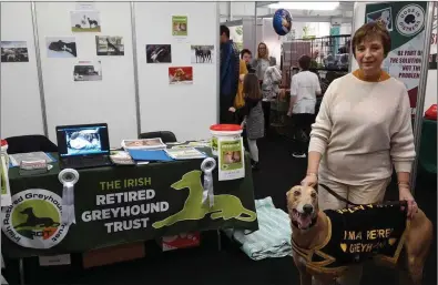  ??  ?? Brenda Powderly with her retired greyhound Ted, at the 2018 Pet Expo in Dublin