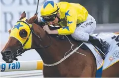  ??  ?? POSITIVE: Gosford Cup winner Midsummer Sun, trained by disqualifi­ed Sam Kavanagh, was at the centre of charges.