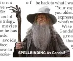  ?? ?? SPELLBINDI­NG As Gandalf