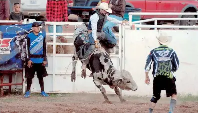  ??  ?? Carlos Aragón, campeón de la monta de toros. Foto CARLOS VILLALOBOS