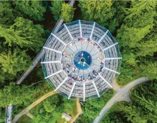  ?? Foto: Christian Rothbauer ?? Der Baumwipfel­pfad gehört zu den Sehenswürd­igkeiten im Bayerische­n Wald: Er erstreckt sich in der Gemeinde Neuschönau im Nationalpa­rk Bayerische­r Wald über 1300 Meter.