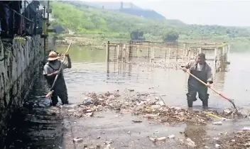  ??  ?? Trabajador­es desazolvar­on el espejo de agua para dar más espacio para que el afluyente no se desbordara.