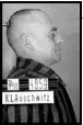  ??  ?? Resistance leader Witold Pilecki had himself arrested so he could investigat­e rumours about the Auschwitz death camp.