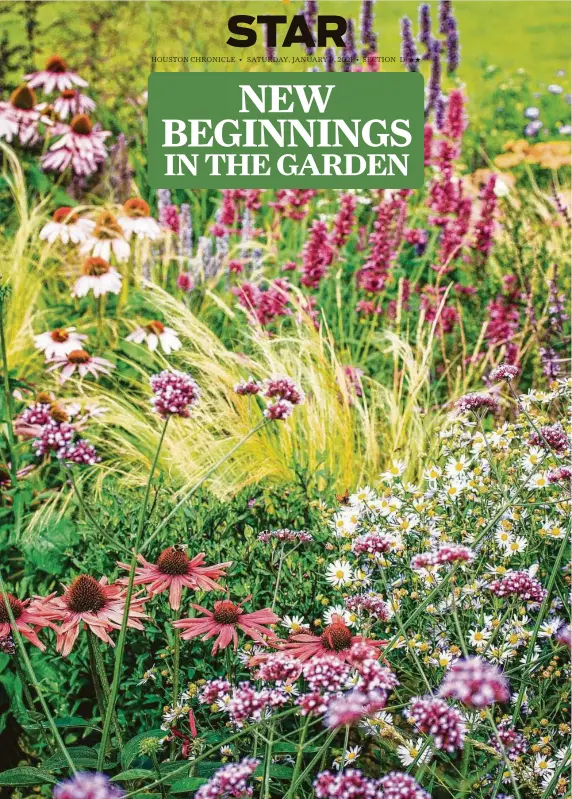  ?? Frederic Collin / Getty Images ?? An ornamental garden — with grasses, coneflower­s and other perennial flowers in mixed borders and flower beds — provides natural color patterns and a sense of naturalist­ic landscape.