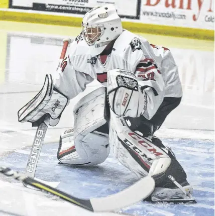  ?? FILE PHOTO ?? The Truro Bearcats will call upon Myles Hektor to come up big during the MHL Eastlink South Division semifinal series against the high-flying Yarmouth Mariners.