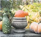  ?? JOHN DOLAN/MARTHA STEWART LIVING VIA AP ?? An urn, right, surrounded by a variety of gourds.