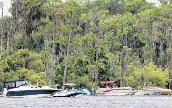  ?? JOE BURBANK/ORLANDO SENTINEL ?? Boaters gather on the shore of Bird Island on Lake Butler in Windermere on Saturday. After years of complaints, Orange County commission­ers may create a “vessel-exclusion zone” on the northwest shore of the island.