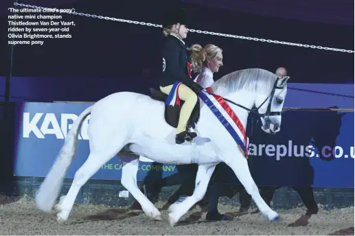  ??  ?? ‘The ultimate child’s pony’: native mini champion Thistledow­n Van Der Vaart, ridden by seven-year-old Olivia Brightmore, stands supreme pony