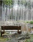  ??  ?? An der Strecke liegen Weiher am Wegesrand – kleine Biotope.