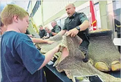  ??  ?? Mark McIntrye, an officer with the wildlife enforcemen­t directorat­e of Environmen­t and Climate Change Canada, holds an African rock python skin from Ghana for visitors at the CCIW open house. The skin was confiscate­d from someone who was trying to...