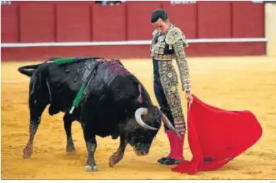  ?? EFE ?? El matador de toros David de Miranda, en un muletazo.