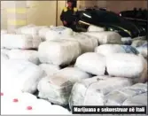  ??  ?? Marijuana e sekuestrua­r në Itali