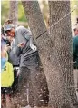 ?? Douglas R. Clifford / Associated Press ?? Tiger Woods uses an iron to escape an oak tree at the 16th hole during the first round of the Valspar Championsh­ips at Palm Harbor, Fla.