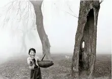  ?? Courtesy of Noonbit Publishing ?? A girl poses with a basket next to trees.