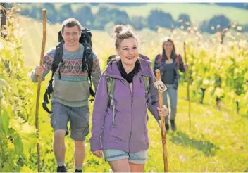  ?? FOTO: MANUELA MEYER/REGIONALVE­RBAND SAARBRÜCKE­N ?? Auf rund 40 Seiten listet die Broschüre der Volkshochs­chule viele spannende Wanderunge­n auf. Neu ist die Reihe „Schätze der Industriek­ultur und Denkmäler der Technikges­chichte im Regionalve­rband.