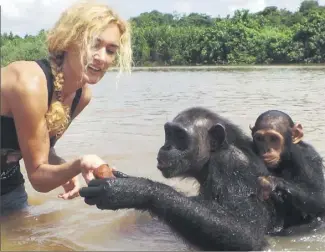  ?? (Photo DR) ?? Avec Samba et Cacahuète, deux des chimpanzés sauvegardé­s, dans le cadre d’une mission au Cameroun .