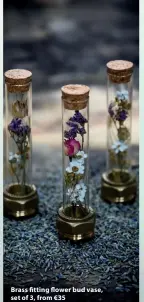  ?? ?? Brass  tting  ower bud vase, set of 3, from €35