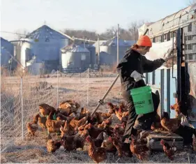  ?? JULIA HANSEN/IOWA CITY PRESS-CITIZEN ?? Natasha Wilson feeds chickens on her family’s farm near West Chester, Iowa. Adding the flock is part of a strategy to make the operation more sustainabl­e by selling directly to local customers.