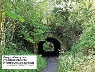  ?? MANSFIELD DISTRICT COUNCIL ?? Gregory Quarry is an important habitat for invertebra­tes and rare bats