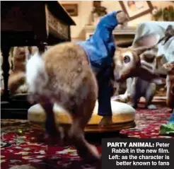  ??  ?? PaRtY anIMaL: Peter Rabbit in the new film. Left: as the character is better known to fans