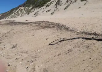  ??  ?? Several other beaches, including Klein Brak River, showed the same phenomenon.