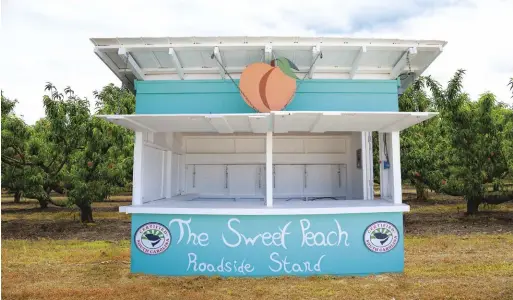  ??  ?? Mandy Bodie’s Sweet Peach Roadside Stand in Ward, South Carolina, is a remodeled, 30-year-old stand that was given to her.
