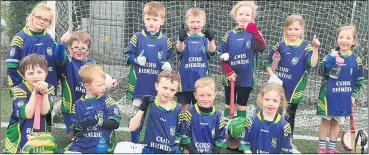  ?? ?? Cois Bhríde U7 team that plalyed in Tallow against St Catherines.