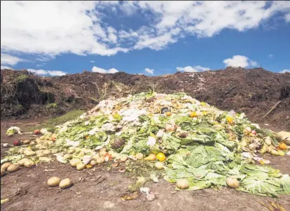  ?? Picture / File ?? As a nation, New Zealand wastes 122,547 tonnes of food every year, research shows.