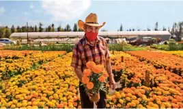  ?? ?? XOCHIMILCO. Se sembraron dos mil 800 millones de flores.