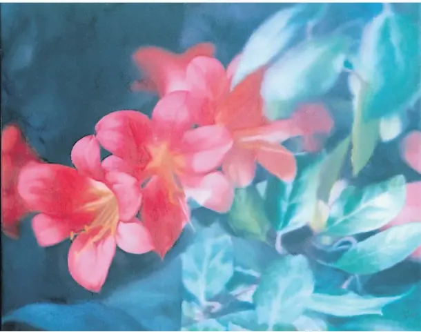 Ein Gerhard Richter im Bad - PressReader