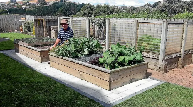  ?? PHOTOS: SUPPLIED ?? Dennis Thompson, a frugal retiree from Wellington, out in his thriving vege garden. He is living well, he says, and poo-poos the idea that people need a million dollars to retire on.