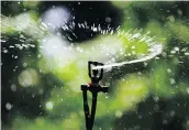  ??  ?? Sixteen municipali­ties have issued a total of 209 watering violation tickets