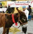  ?? Foto: Wyszengrad ?? Mit einem Esel gingen vergangene Woche Mitarbeite­r des Nachsorge-Zentrums auf die Straße, um für bessere Bedingunge­n einzutrete­n.