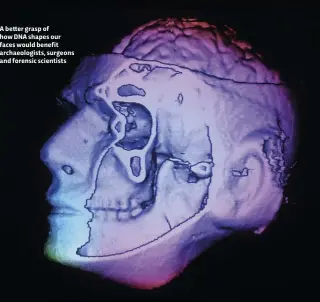  ??  ?? A better grasp of how DNA shapes our faces would benefit archaeolog­ists, surgeons and forensic scientists