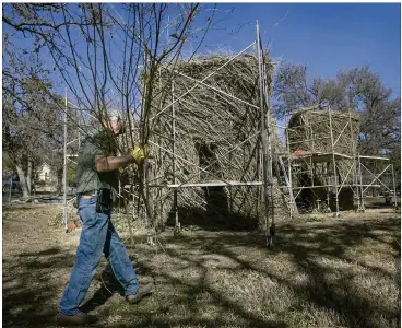  ?? RALPH BARRERA / AMERICAN-STATESMAN PHOTO ?? The “Stickwork” sculpture, built using ash, elm and depression willow branches, has a life expectancy of about two years.