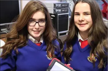  ??  ?? Alice Quinn and Sorcha Cassidy work on their Young Scientists entry.